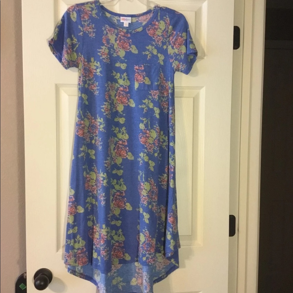 NWOT Lularoe Floral Carly Dress